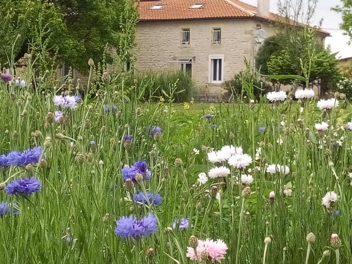 Chambres D'Hotes Chateau Pierre De Montignac Civrac-en-Medoc Exterior photo